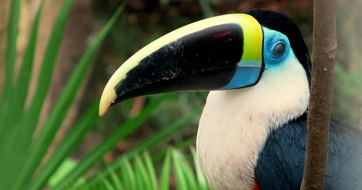 ガラパゴス諸島　写真集　自然　南米　動物　洋書　英語　エクアドル　海洋　火山　本 Amazon.co.jp: ガラパゴス諸島 写真集 自然環境 動物 生物 洋書