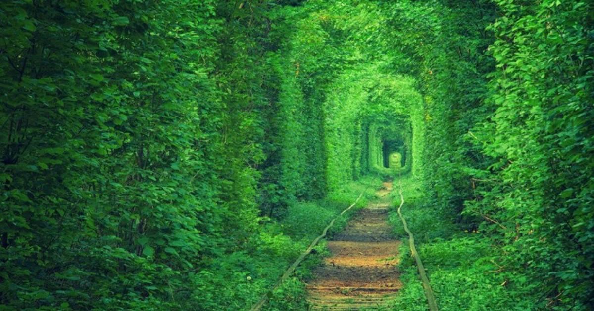 ウクライナ 恋のトンネル の魅力 行き方まとめ カップル旅行にぴったり パワースポットで永遠の愛を Taptrip