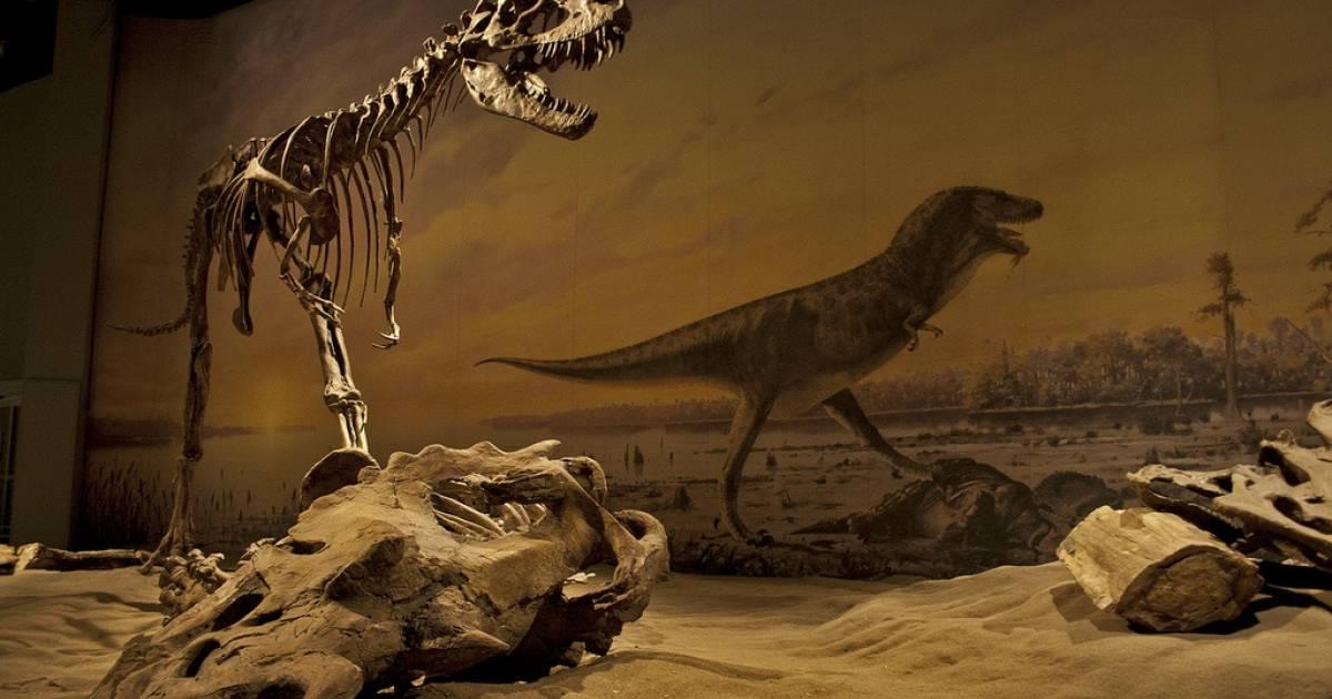 恐竜大好き！家族で行こう！バッドランド・恐竜の町カナダ 