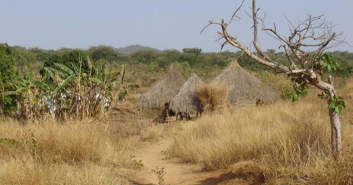 カメルーン基本情報 気候 服装編 Taptrip