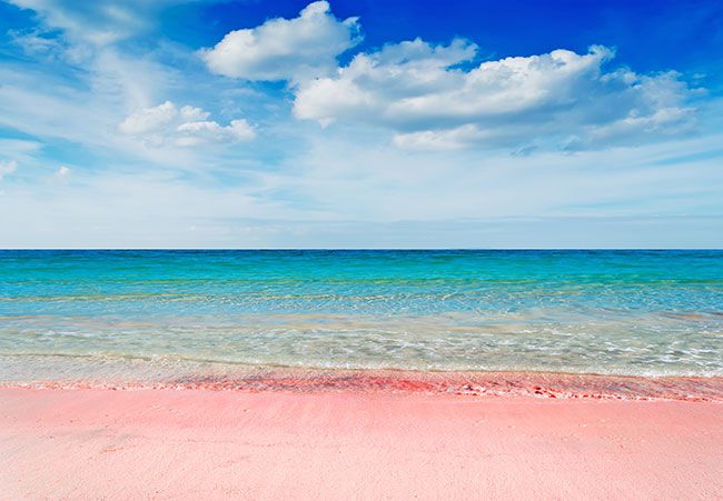 まるで夢のよう 死ぬまでに見たい世界のピンクビーチ Taptrip