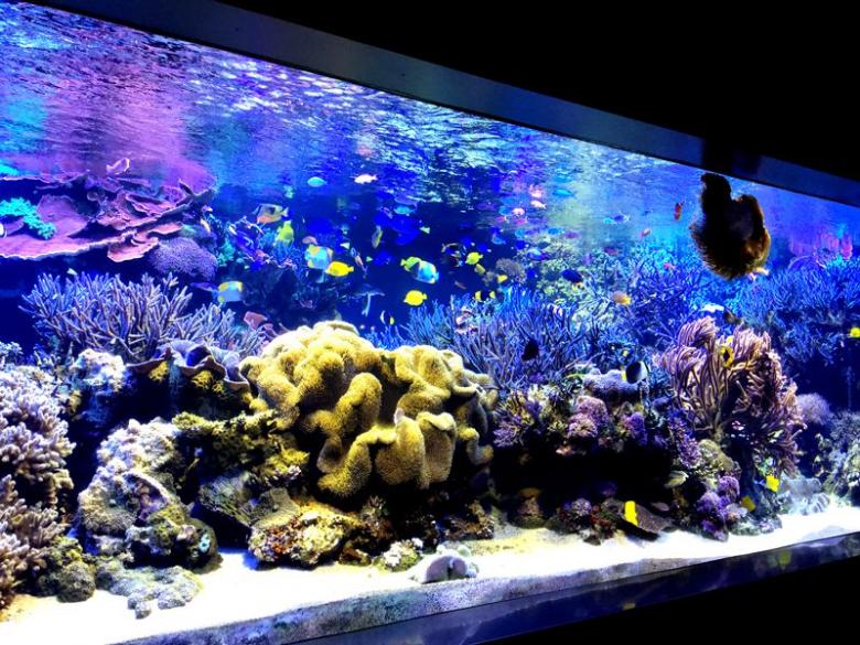 三重県でジュゴンに会える鳥羽水族館を徹底解剖！ココでしか出会えない