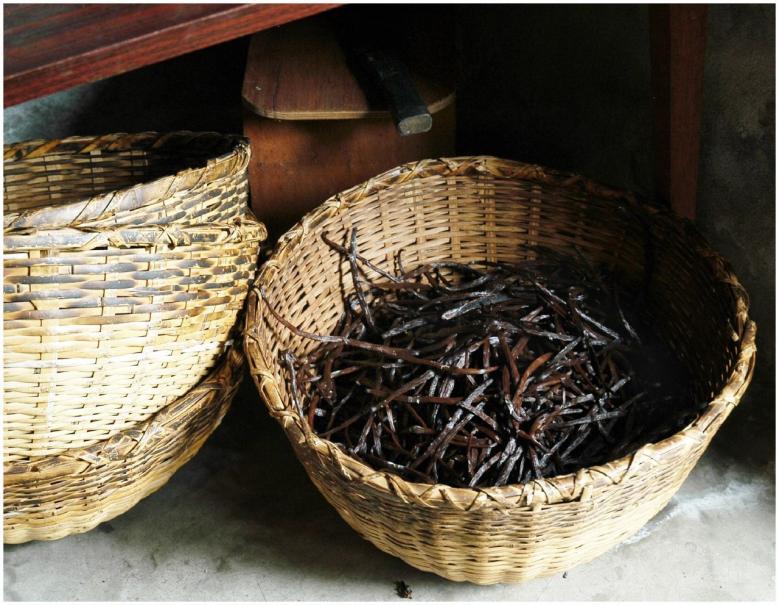 インド洋に浮かぶリゾート地!フランス領のレユニオン島の魅力|TapTrip