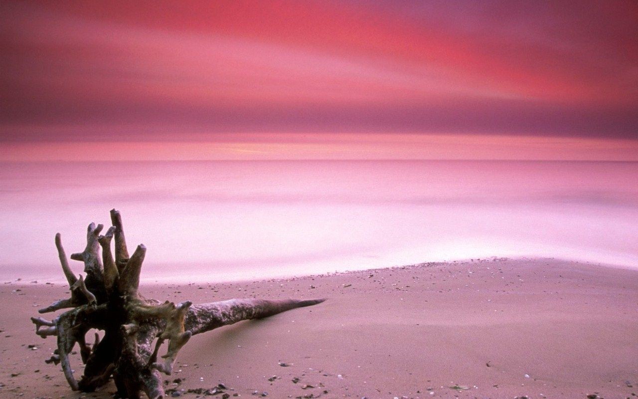 ピンクやグリーンのビーチ 世界のすごい色ビーチまとめ Taptrip