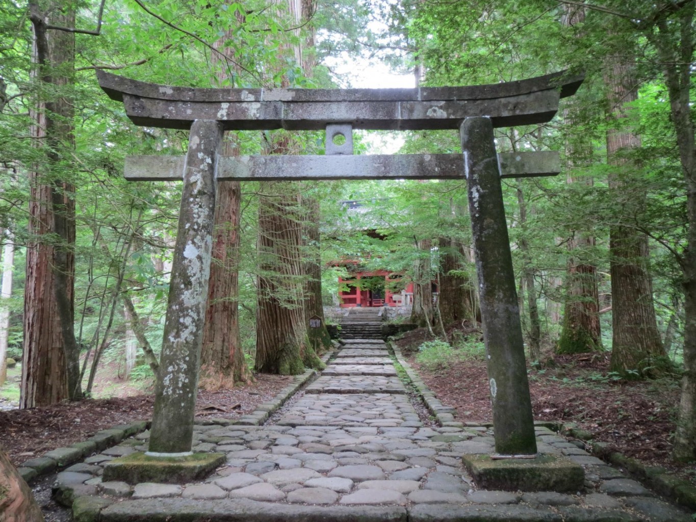 東照宮だけじゃない 栃木 日光の穴場観光スポット４選 Taptrip