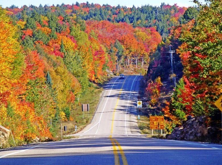 Via鉄道から紅葉ウォッチ カナダのメープル街道を旅したい Taptrip