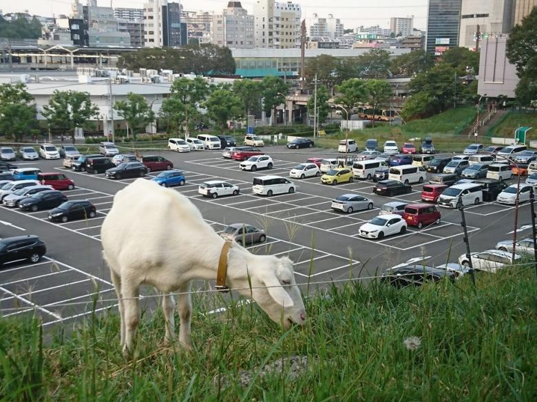 多摩センター駅周辺の駐車場10選 安いスポットから営業時間情報まで詳しくご紹介 Taptrip